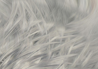 Abstract Strokes - Background #11