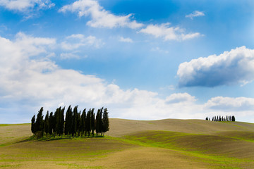 hills sky and cypresses
