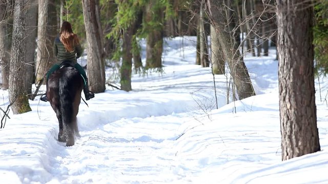 A woman walking on a horse in the forest on a snowy path