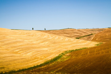 Fototapeta na wymiar hills and wheat