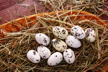 Spring. Bird's Nest. Quail eggs in a decorative basket with grass.