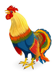 Rooster bright poultry. On white background, vector illustration