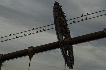 Brookling bridge of new york