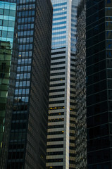 New York City and its buildings