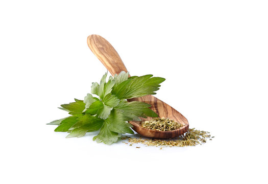 Lovage, Levisticum officinale. Lovage fresh and dried Isolated on white backgrounbd.