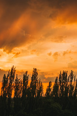 Landscape with dramatic light - beautiful golden sunset with saturated sky and clouds.