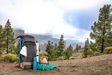 Fototapeta premium Backpack and summer trip. 