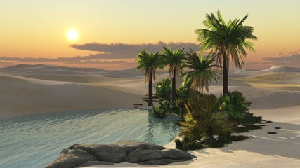 Oasis at sunset, desert sand and setting sun