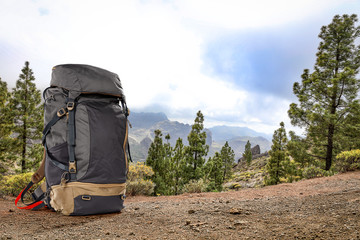 Backpack and summer trip. 