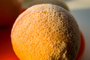 Frozen oranges and lemons on a red plate, covered in frost