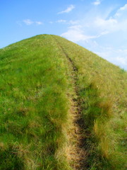 road in field