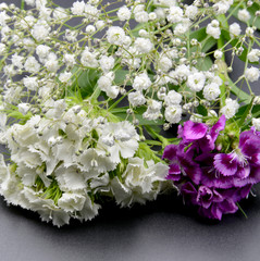 colorful flowers on black background