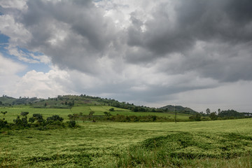 Landscape in Uganda