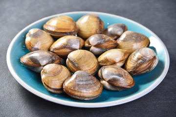 fresh clams in a bowl
