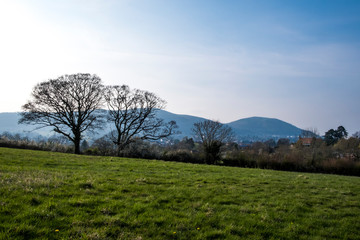 Fototapeta na wymiar Malvern hills skyline with trees, Worcestershire