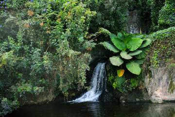 waterfall in the forest