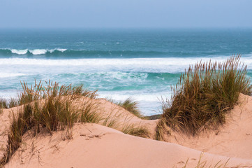 Golden sand dunes covered in grass swaying in the wind at Guincho Beach, Cascais, Portugal. Summer day on the beautiful and wild Portuguese coast. Soft blue ocean waves breaking against the seashore.