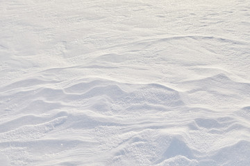 Snow texture background. 