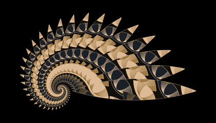 abstract spiral shell indian style in golden ivory black