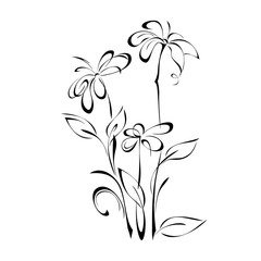 three decorative flowers on the stems with leaves in black lines on a white background