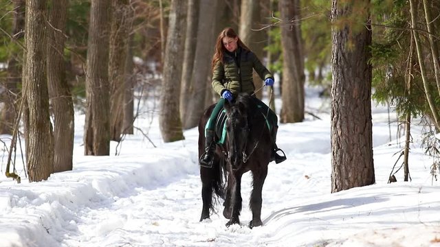 Late winter. A woman walking on a horse in the forest on a snowy ground at sunny weather