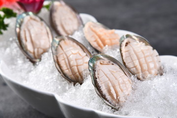 sea shells on the beach