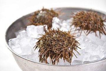 christmas decoration on red background