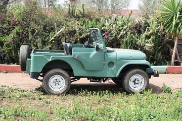 old classic old 4x4 green open-top jeep with white wheels parked outdoors.a garden with tall cactus plants and other greenery, suggesting a sunny, rural or suburban environment. © NEO GATE 