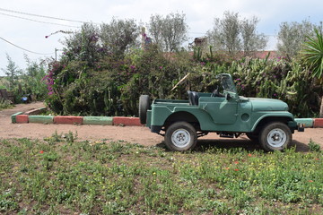 Fototapeta premium old jeep green 4X4 classic car in park with beautiful scenery 