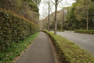 歩道