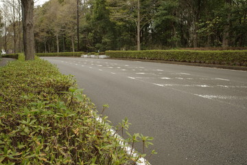 車のいない道路