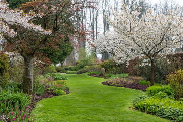 Herbaceous borders with cherry blossom trees