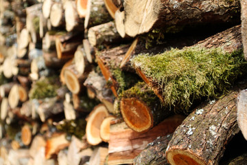 Holzstapel