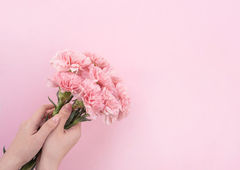 Woman giving bunch of elegance blooming baby pink color tender carnations isolated on pale pink background, mothers day decor design concept, top view, close up, copy space