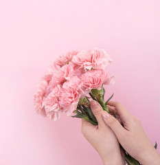 Woman giving bunch of elegance blooming baby pink color tender carnations isolated on pale pink background, mothers day decor design concept, top view, close up, copy space
