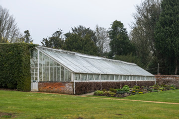 Fototapeta na wymiar Old greenhouse in garden