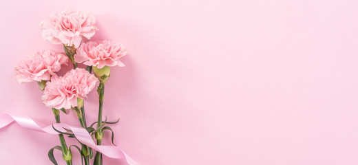 Beautiful fresh blooming baby pink color tender carnations isolated on bright pink background,...