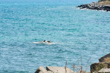 Obraz premium beautiful sea of calabria, Torre Melissa localitybeautiful sea of calabria, Torre Melissa locality