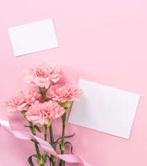 Beautiful fresh blooming baby pink color tender carnations isolated on bright pink background, mothers day thanks design concept,top view,flat lay,copy space,close up,mock up