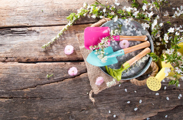 Garden tolls and folower on wooden table. 