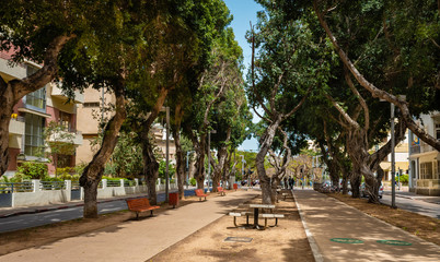 View of boulevard Rothschild, the most prestige and luxury area in Tel Aviv. - obrazy, fototapety, plakaty