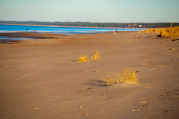 Fototapeta na wymiar empty sea beach with ice leftovers and no snow