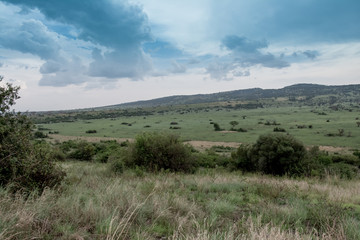 Obraz premium Landscape in Queens Elizabeth