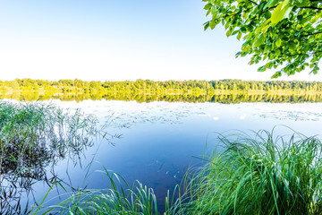 Fototapeta na wymiar scenic forest lake in sunny summer day with green foliage and shadows