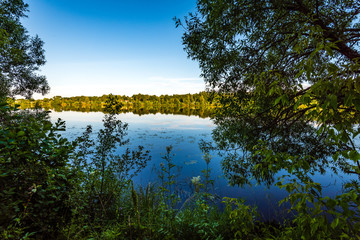scenic forest lake in sunny summer day with green foliage and shadows