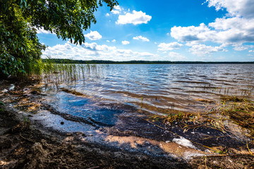 scenic forest lake in sunny summer day with green foliage and shadows