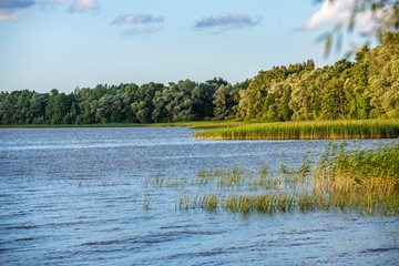scenic forest lake in sunny summer day with green foliage and shadows