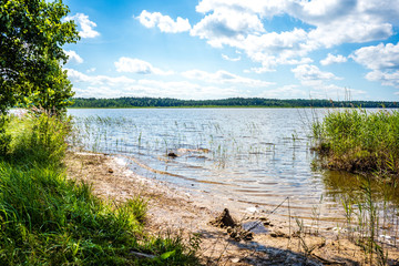 scenic forest lake in sunny summer day with green foliage and shadows