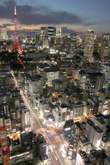 Fototapeta premium Tokyo night view