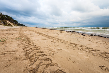 empty sea beach before storm with dramatic clouds and shadows from trees on the sand